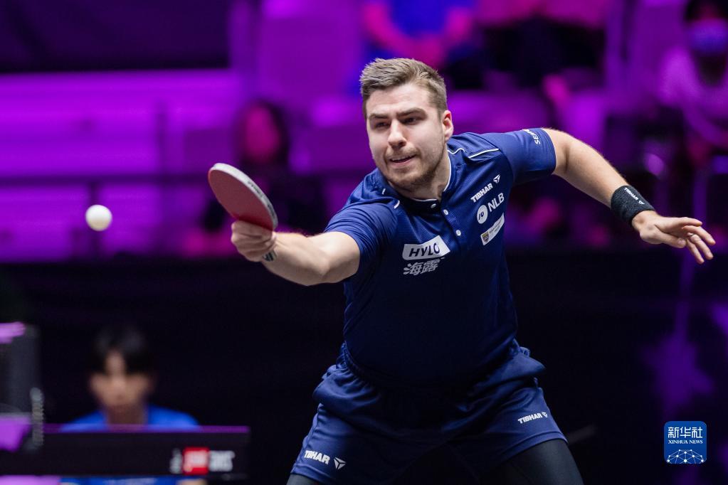 地制定合理 地制定合理